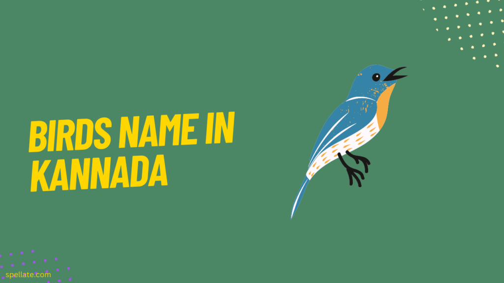 Birds Name in Kannada