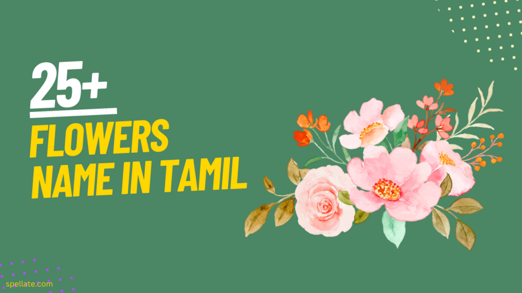 tamil-names-spellate