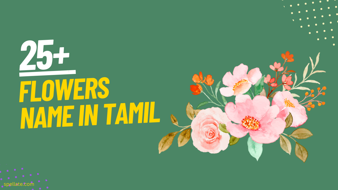 Flowers Name in Tamil