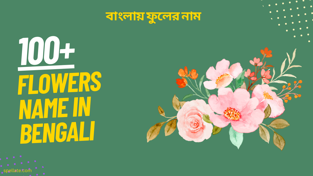 50-flowers-name-in-bengali-update-2023-spellate