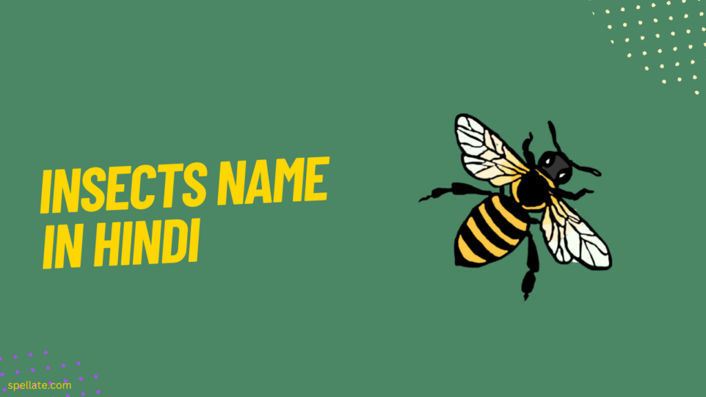 Insects Name in Hindi