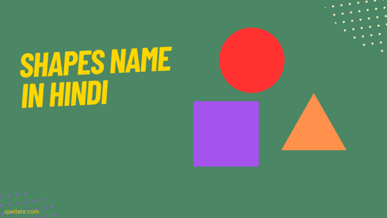 Shapes Name in Hindi