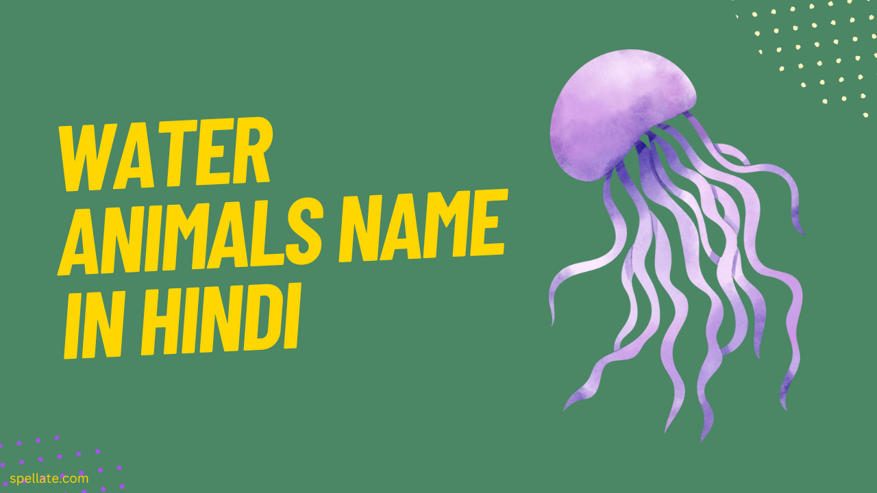 water-animals-name-in-hindi-spellate