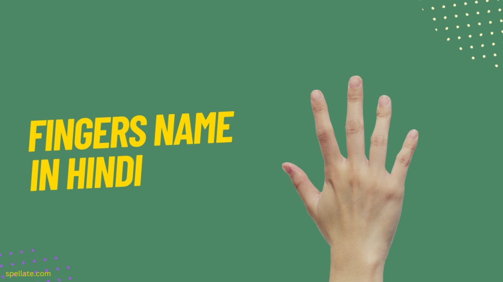 fingers name in hindi