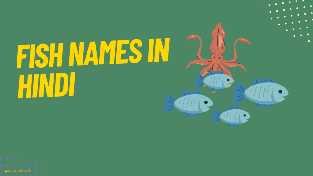 60 Fish Names In Hindi And English Spellate