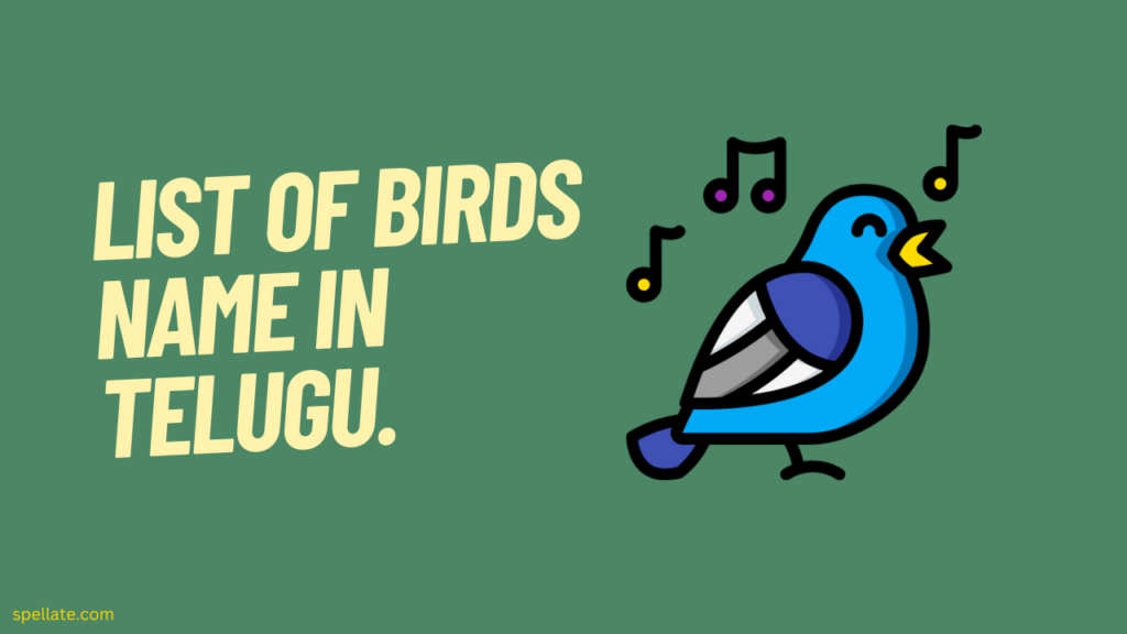 List of Birds Name in Telugu.