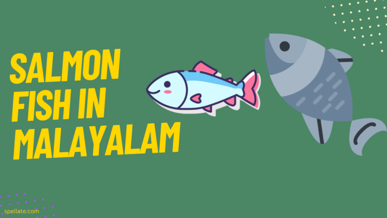 Salmon Fish in Malayalam