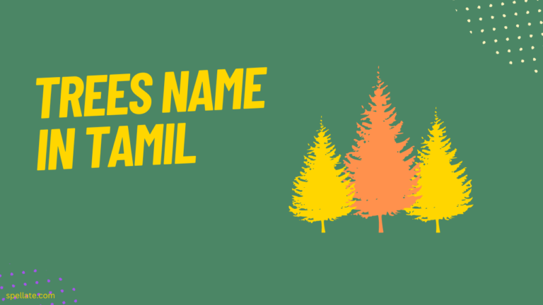 Trees Name in Tamil