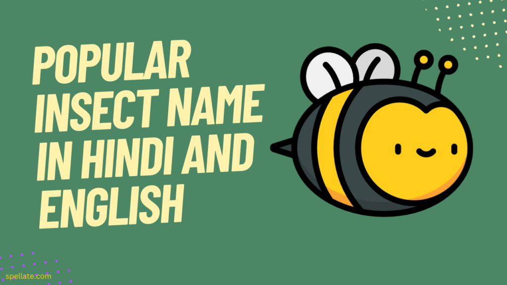 Popular Insect name in Hindi and English