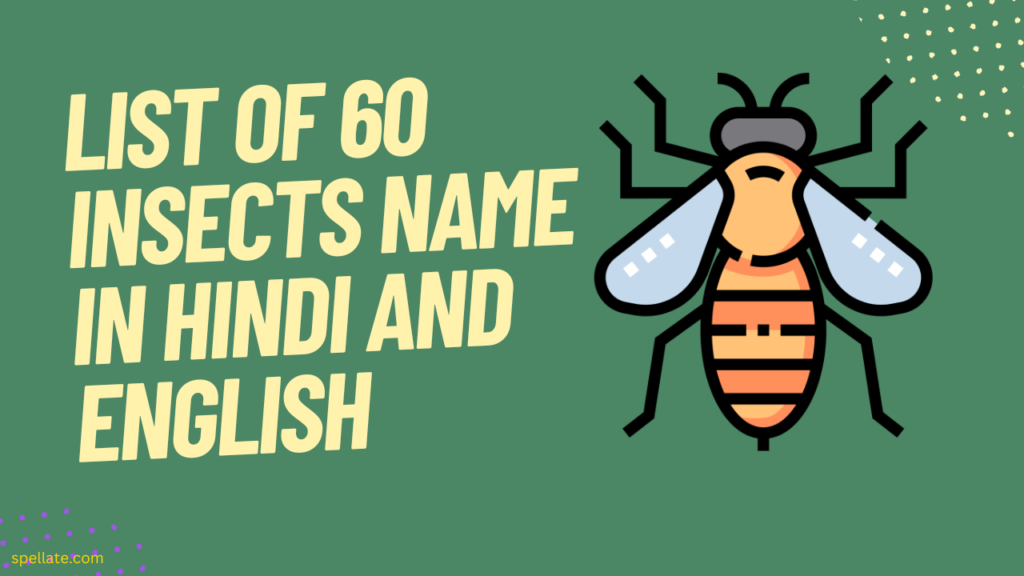 List of 60 Insects name in Hindi and English
