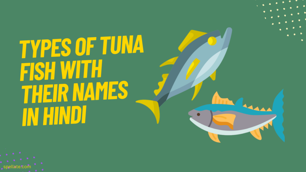 Types of Tuna fish with their names in Hindi