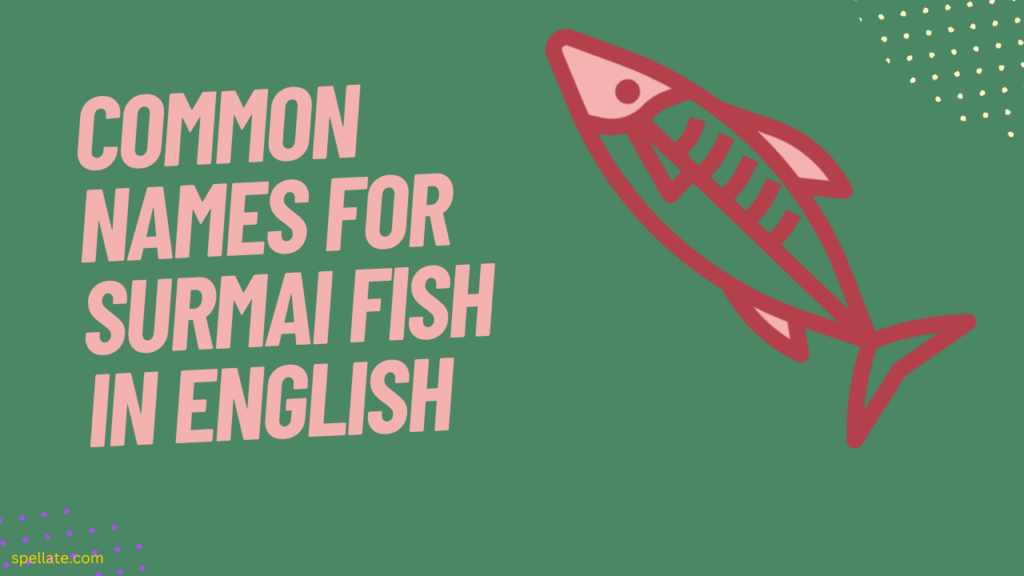 Common names for Surmai fish in English