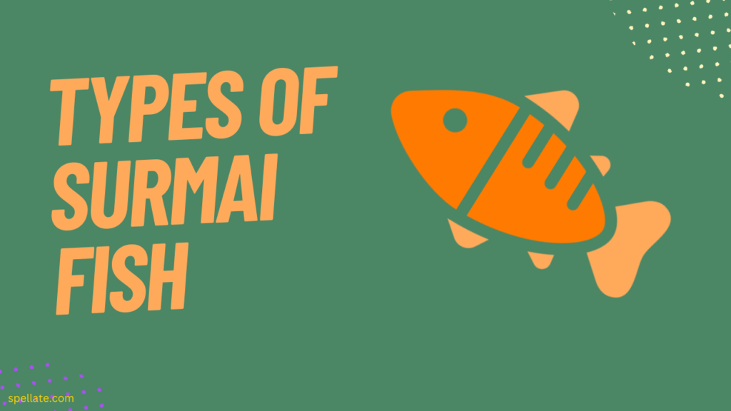 Types of Surmai Fish