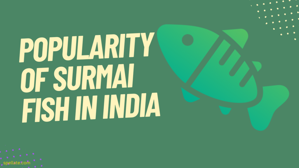 Popularity of Surmai fish in India