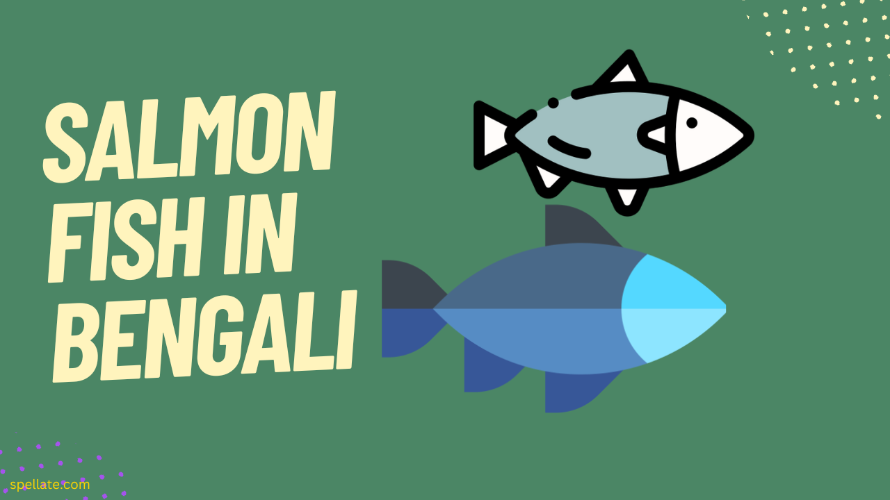 Salmon Fish In Bengali