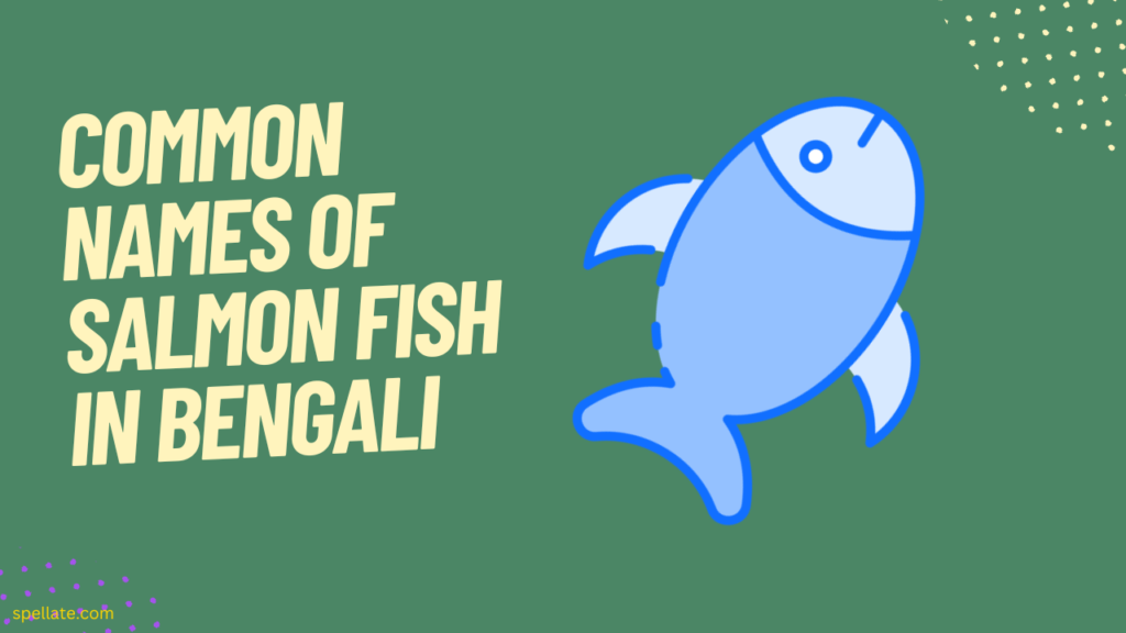 Common names of Salmon fish in Bengali
