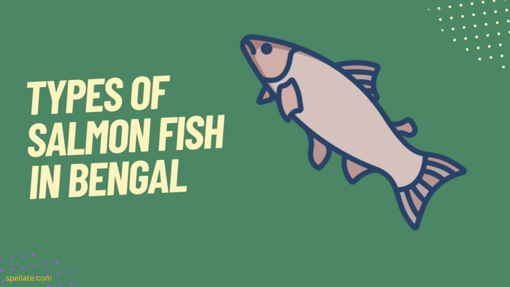 Types of Salmon Fish in Bengal