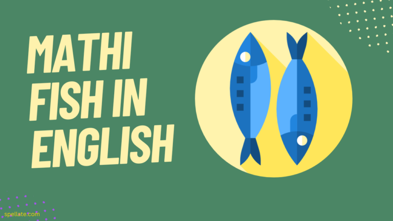 Mathi Fish In English