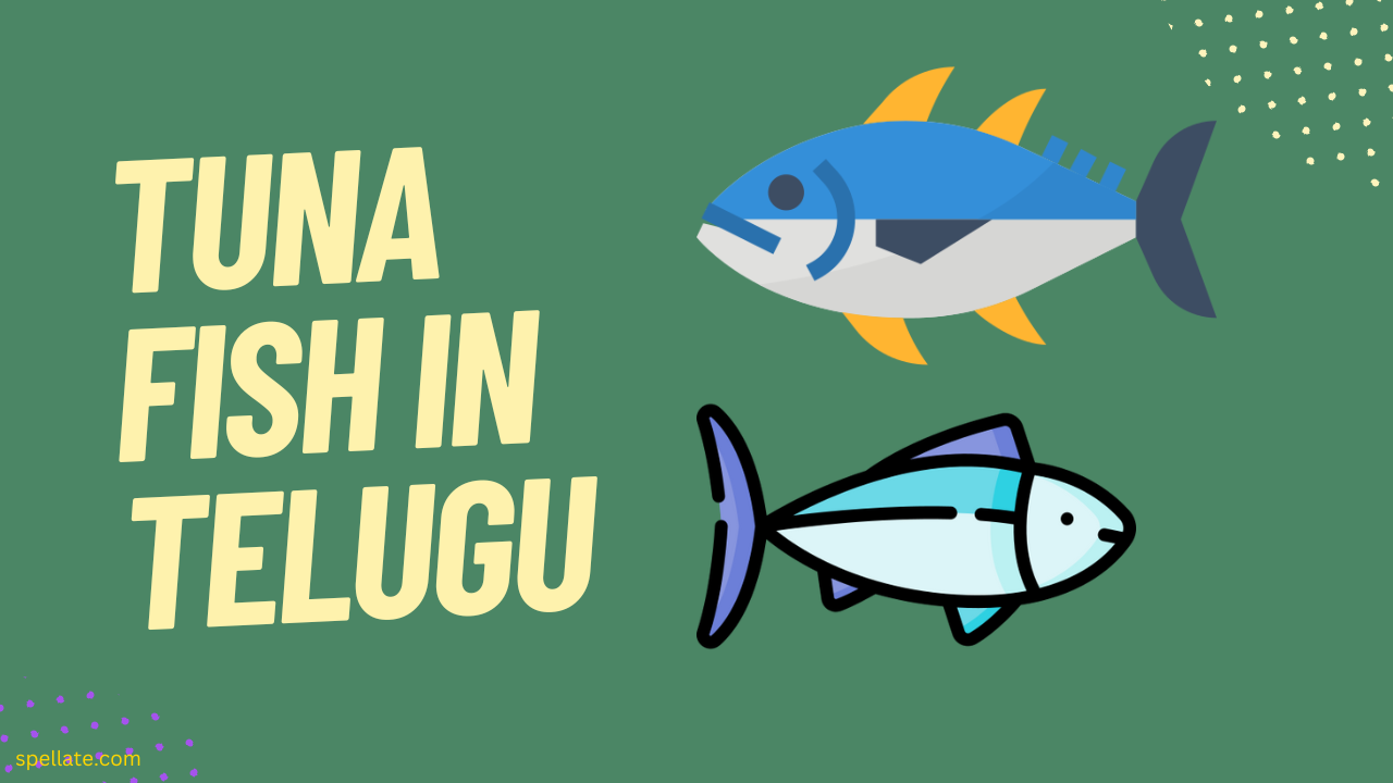 Tuna Fish In Telugu