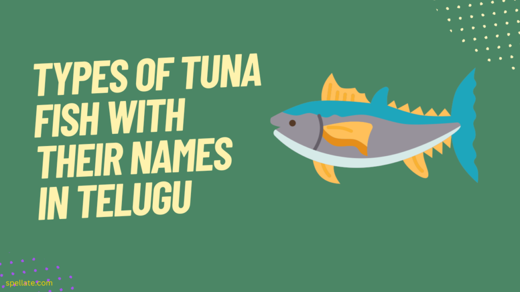 Types of Tuna fish with their names in Telugu