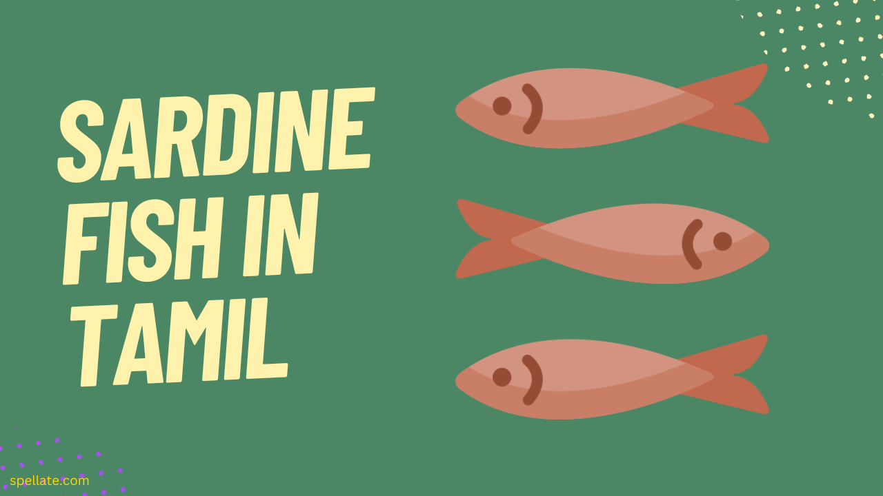 Sardine Fish In Tamil