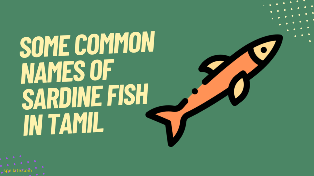 Some common names of Sardine fish in Tamil