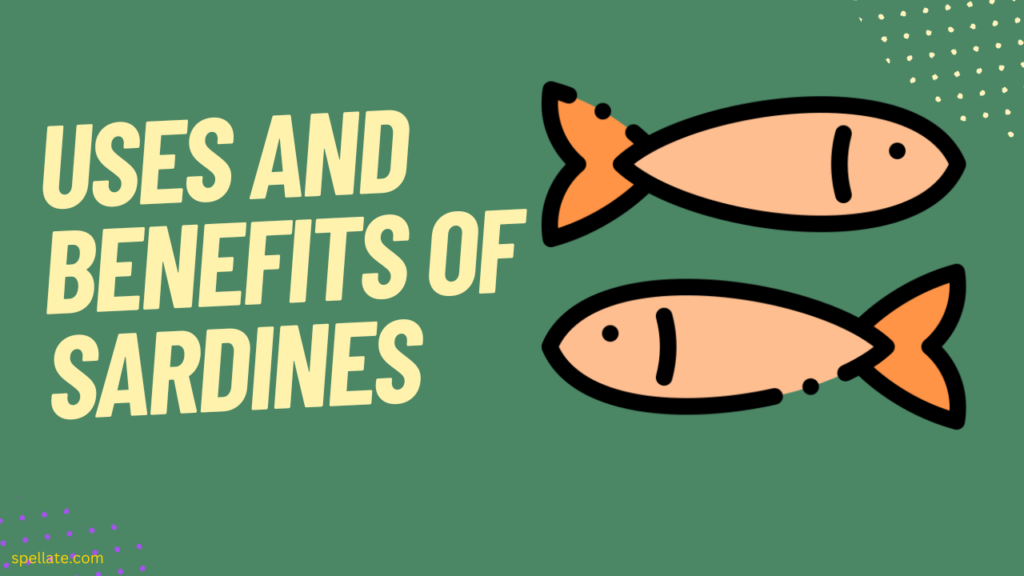 Uses and Benefits of Sardines