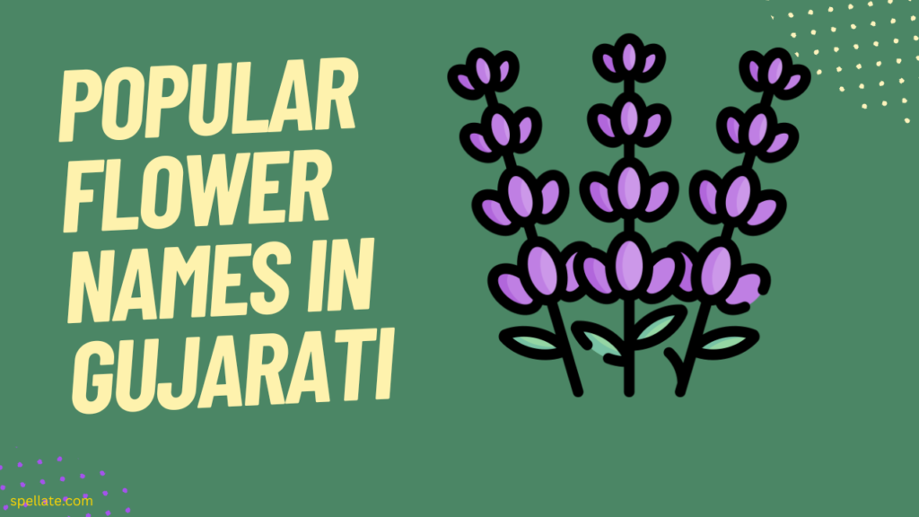 Popular Flower Names in Gujarati