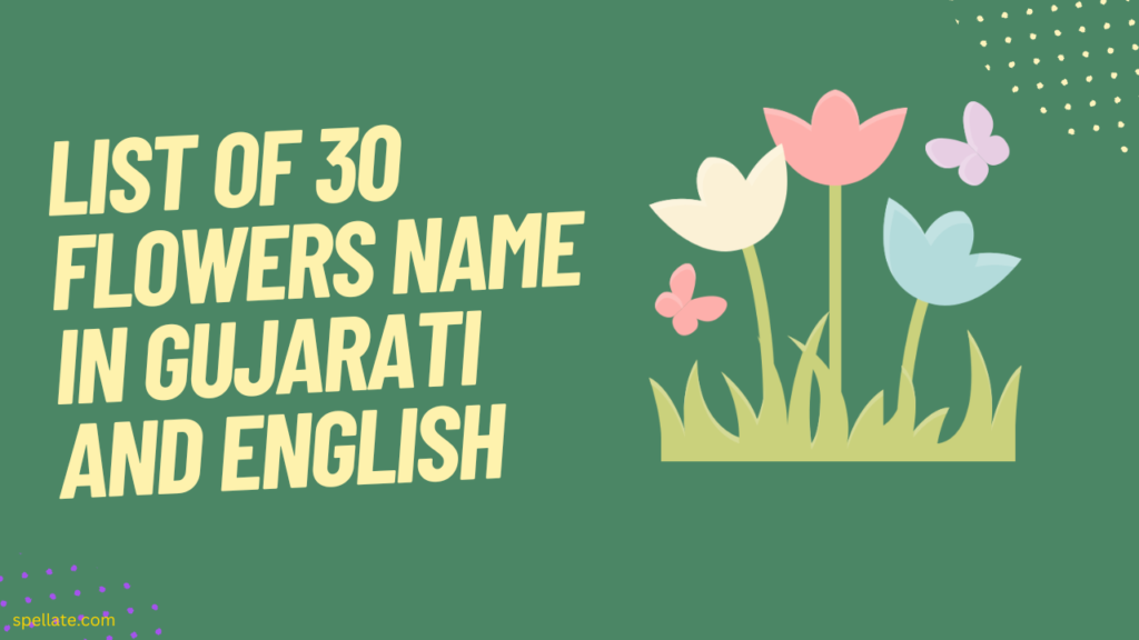 List of 30 Flowers name in Gujarati and English