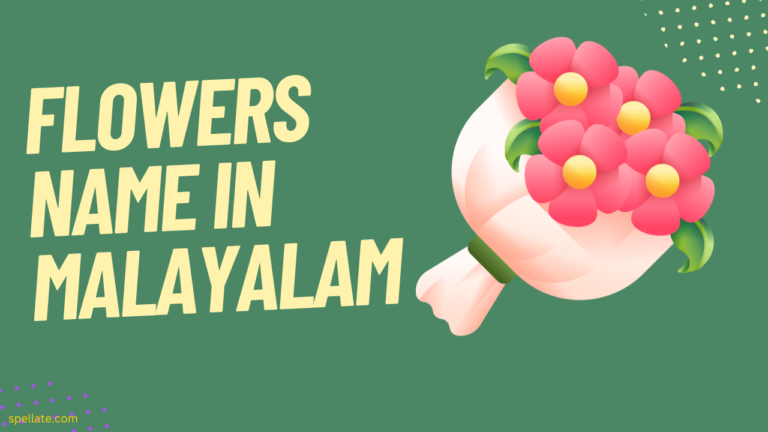 Flowers Name In Malayalam