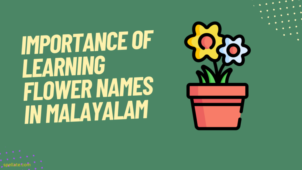 Importance of learning flower names in Malayalam