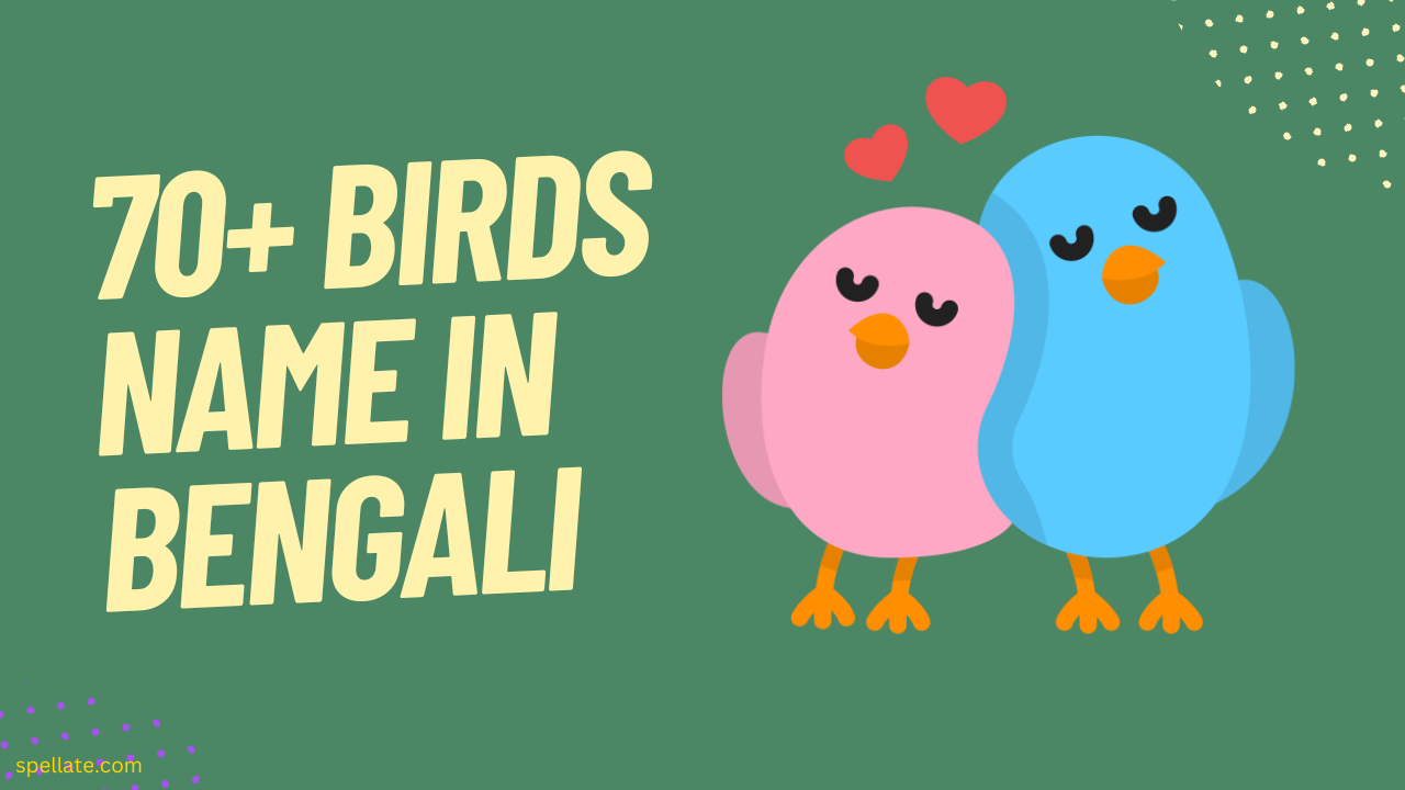 70+ Birds Name In Bengali