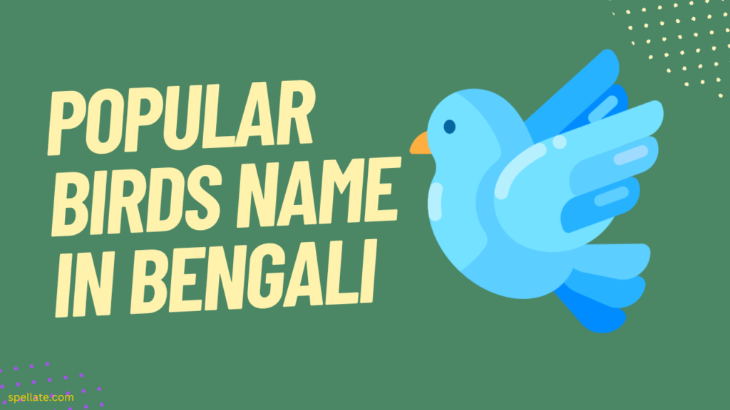 Popular Birds name in bengali