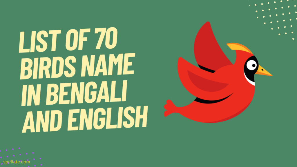 List of 70 Birds name in Bengali and English