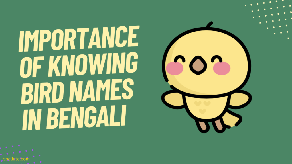 Importance of knowing bird names in Bengali