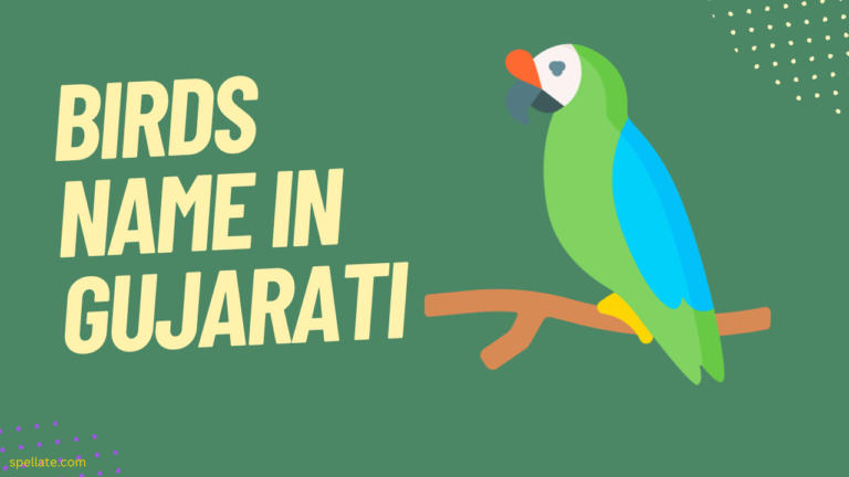 Birds Name In Gujarati
