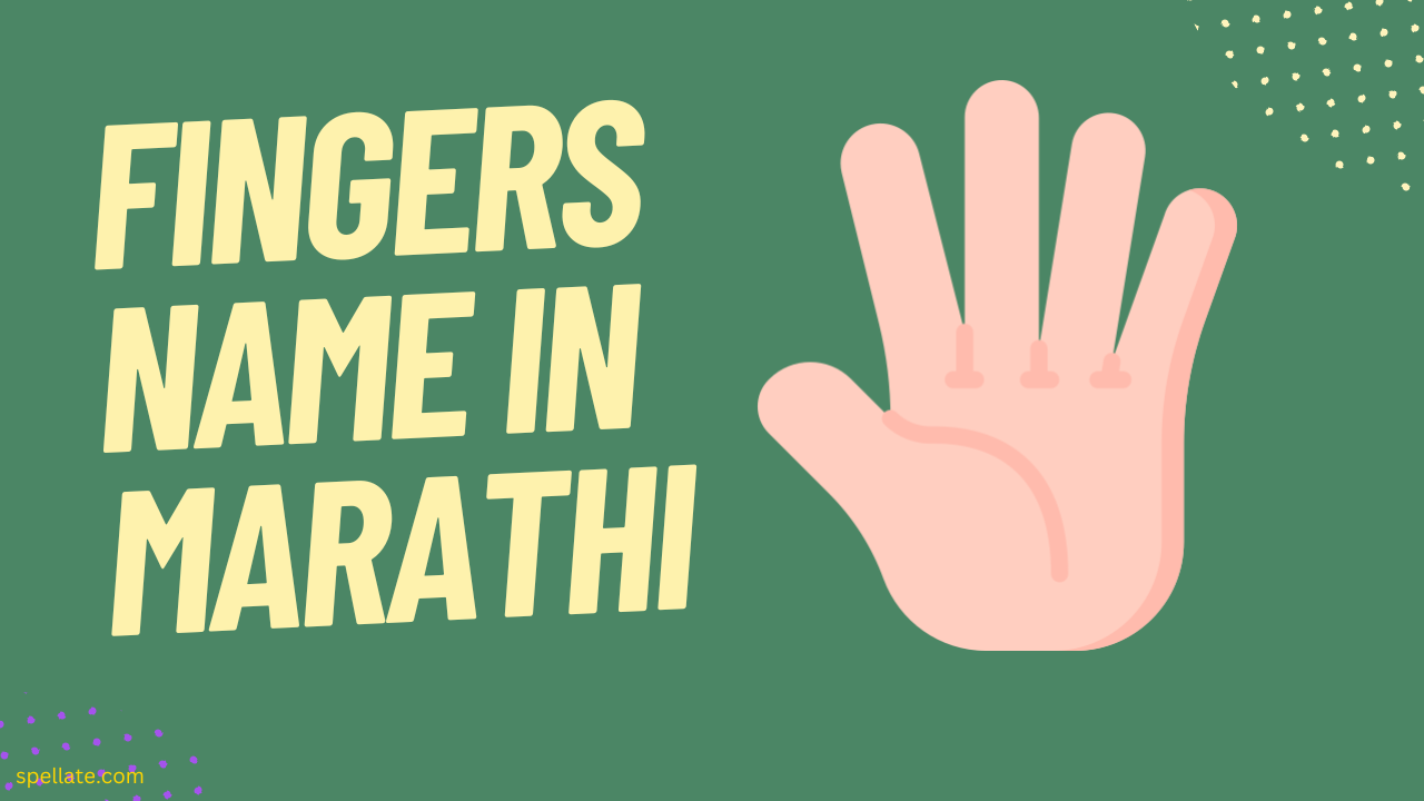 Fingers Name In Marathi