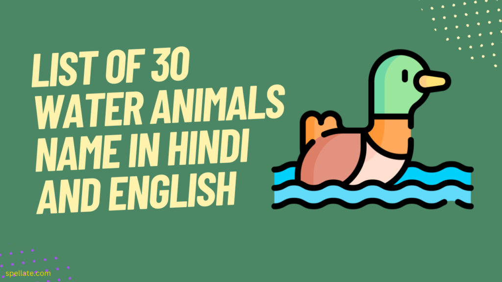 List of 30 Water animals name in Hindi and English