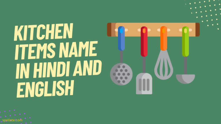 kitchen Items Name In Hindi And English