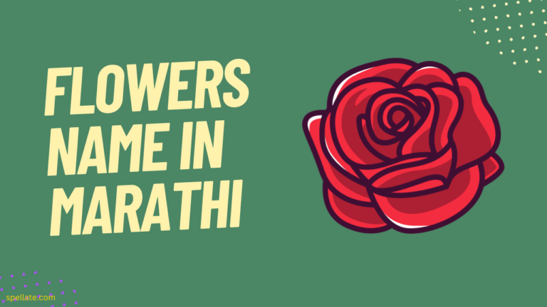 Flowers Name In Marathi