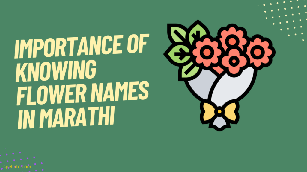 Importance of knowing flower names in Marathi