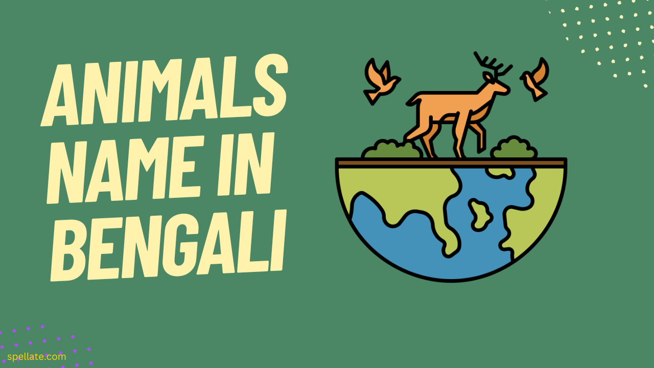 Animals Name In Bengali