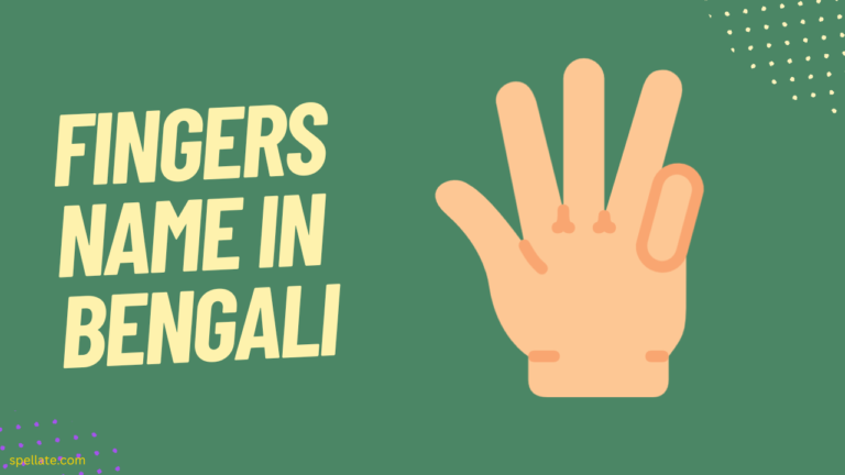 Fingers Name In Bengali