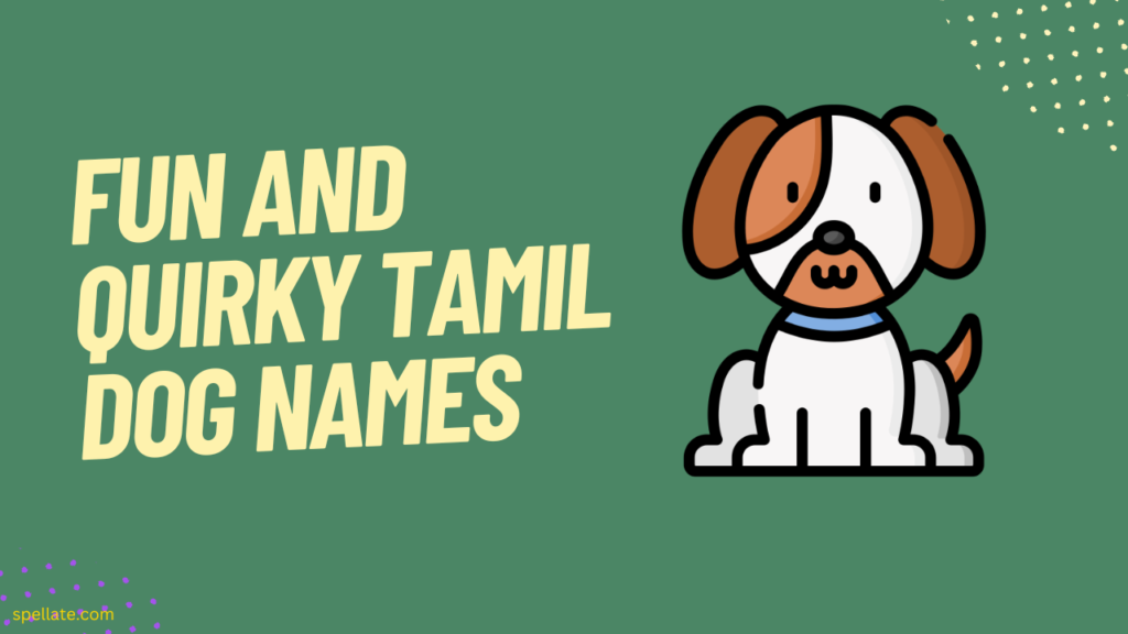 Fun and quirky Tamil dog names