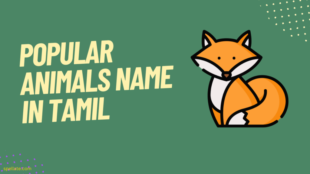 Popular Animals name in Tamil