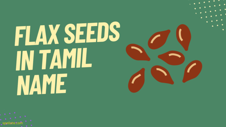 Flax Seeds In Tamil Name