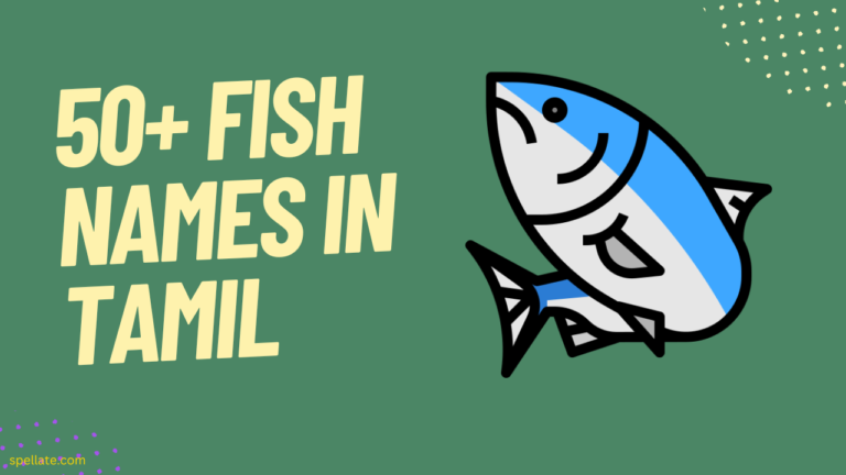 Fish Names In Tamil