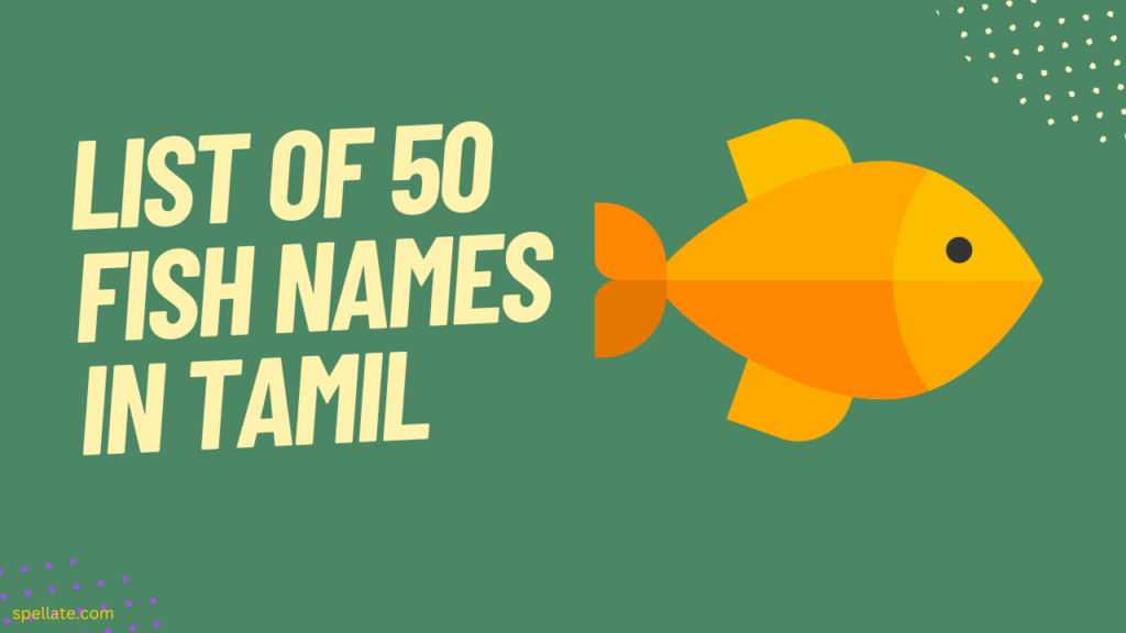 List of 50 fish names in Tamil