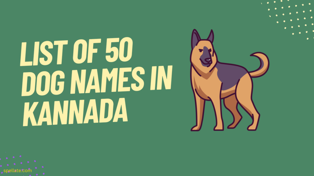 List of 50 Dog names in Kannada