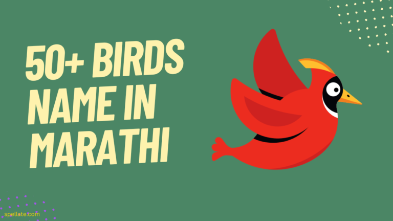 Birds Name In Marathi